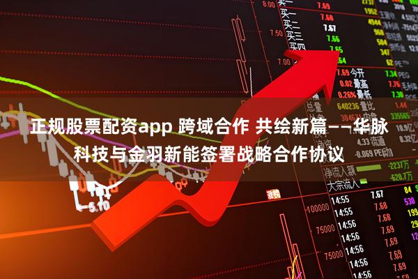 正规股票配资app 跨域合作 共绘新篇——华脉科技与金羽新能签署战略合作协议