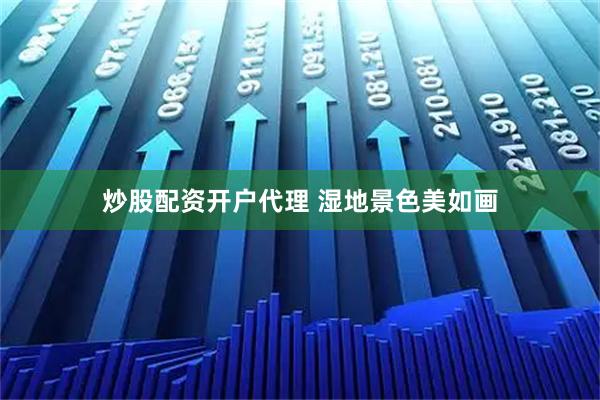 炒股配资开户代理 湿地景色美如画