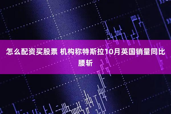 怎么配资买股票 机构称特斯拉10月英国销量同比腰斩